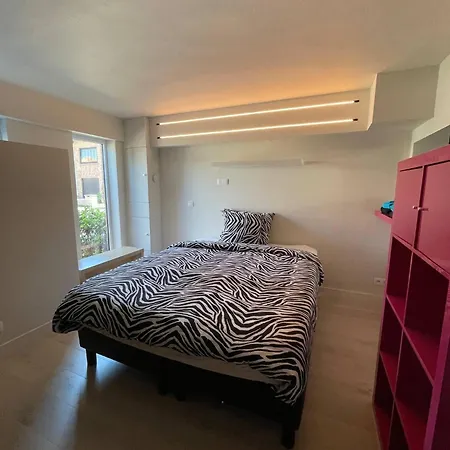 Modern Flat With Garden Ostend